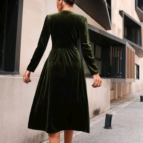 Velvet Day Dress - Picture 4 of 5